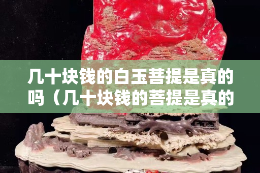 几十块钱的白玉菩提是真的吗（几十块钱的菩提是真的吗）