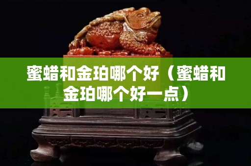 蜜蜡和金珀哪个好（蜜蜡和金珀哪个好一点）