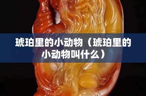琥珀里的小动物（琥珀里的小动物叫什么）