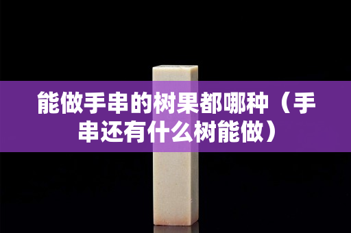 能做手串的树果都哪种（手串还有什么树能做）