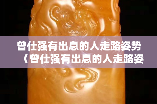 曾仕强有出息的人走路姿势（曾仕强有出息的人走路姿势全集）