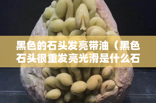 黑色的石头发亮带油（黑色石头很重发亮光滑是什么石头）