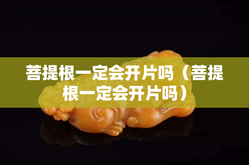 菩提根一定会开片吗（菩提根一定会开片吗）