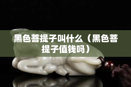 黑色菩提子叫什么（黑色菩提子值钱吗）