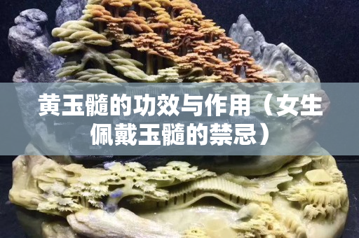 黄玉髓的功效与作用（女生佩戴玉髓的禁忌）