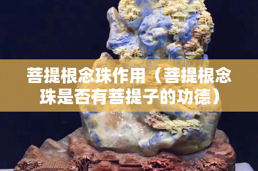 菩提根念珠作用（菩提根念珠是否有菩提子的功德）