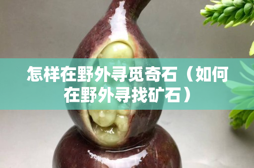 怎样在野外寻觅奇石（如何在野外寻找矿石）