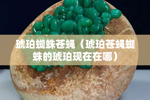 琥珀蜘蛛苍蝇（琥珀苍蝇蜘蛛的琥珀现在在哪）