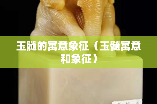 玉髓的寓意象征（玉髓寓意和象征）