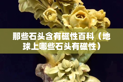 那些石头含有磁性百科（地球上哪些石头有磁性）