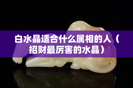 白水晶适合什么属相的人（招财最厉害的水晶）