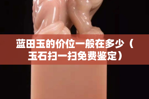 蓝田玉的价位一般在多少（玉石扫一扫免费鉴定）