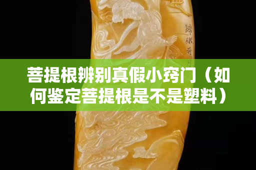 菩提根辨别真假小窍门（如何鉴定菩提根是不是塑料）