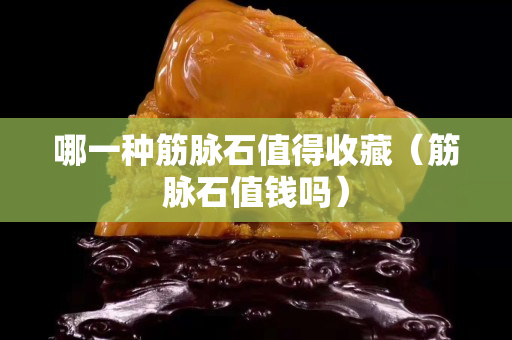 哪一种筋脉石值得收藏（筋脉石值钱吗）
