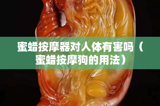蜜蜡按摩器对人体有害吗（蜜蜡按摩狗的用法）