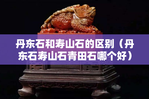 丹东石和寿山石的区别（丹东石寿山石青田石哪个好）
