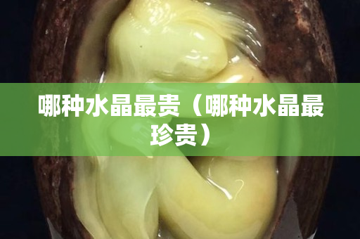 哪种水晶最贵（哪种水晶最珍贵）