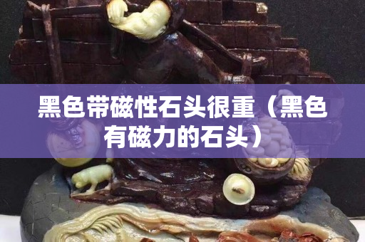 黑色带磁性石头很重（黑色有磁力的石头）