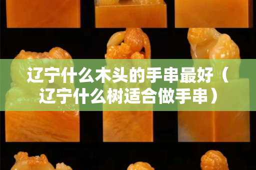 辽宁什么木头的手串最好（辽宁什么树适合做手串）