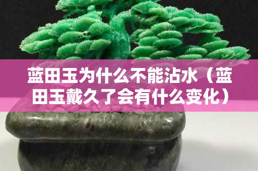 蓝田玉为什么不能沾水（蓝田玉戴久了会有什么变化）