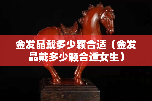 金发晶戴多少颗合适（金发晶戴多少颗合适女生）