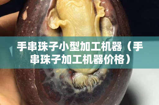 手串珠子小型加工机器（手串珠子加工机器价格）