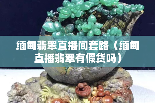 缅甸翡翠直播间套路（缅甸直播翡翠有假货吗）