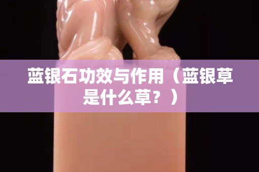 蓝银石功效与作用（蓝银草是什么草？）