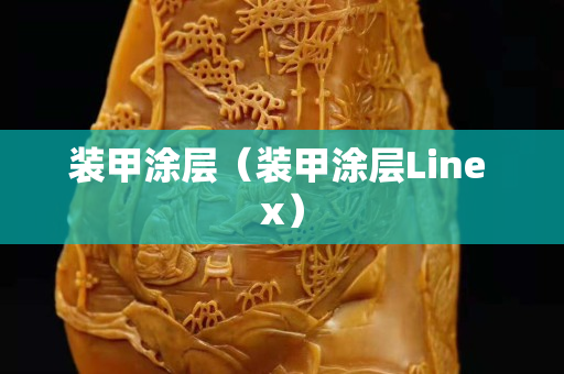 装甲涂层（装甲涂层Line x）