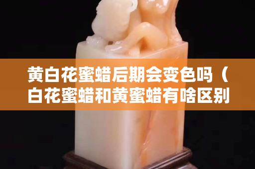 黄白花蜜蜡后期会变色吗（白花蜜蜡和黄蜜蜡有啥区别）
