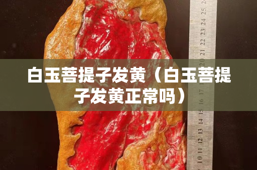 白玉菩提子发黄（白玉菩提子发黄正常吗）