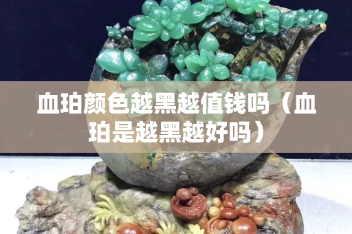 血珀颜色越黑越值钱吗（血珀是越黑越好吗）