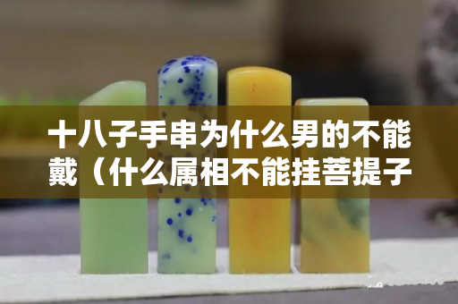 十八子手串为什么男的不能戴（什么属相不能挂菩提子）