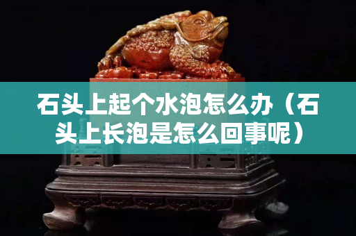 石头上起个水泡怎么办（石头上长泡是怎么回事呢）