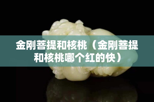 金刚菩提和核桃（金刚菩提和核桃哪个红的快）