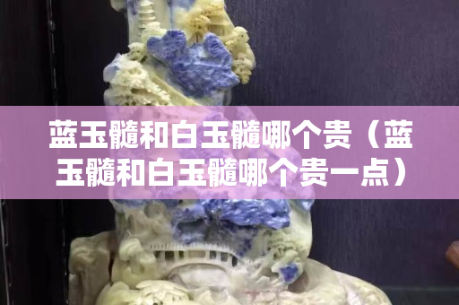 蓝玉髓和白玉髓哪个贵（蓝玉髓和白玉髓哪个贵一点）