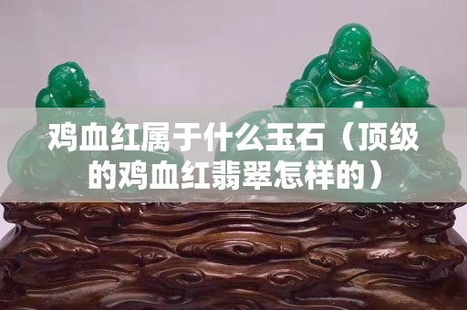 鸡血红属于什么玉石（顶级的鸡血红翡翠怎样的）