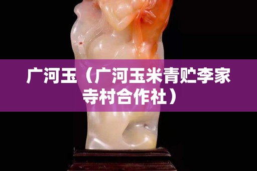 广河玉（广河玉米青贮李家寺村合作社）