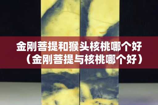 金刚菩提和猴头核桃哪个好（金刚菩提与核桃哪个好）