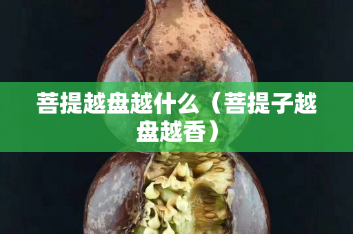 菩提越盘越什么（菩提子越盘越香）