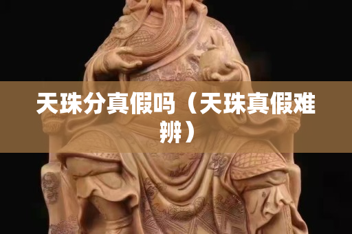 天珠分真假吗（天珠真假难辨）