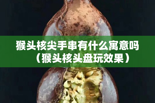 猴头核尖手串有什么寓意吗（猴头核头盘玩效果）