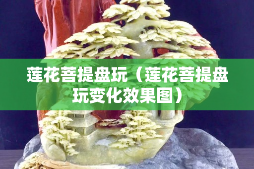 莲花菩提盘玩（莲花菩提盘玩变化效果图）