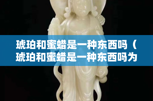 琥珀和蜜蜡是一种东西吗（琥珀和蜜蜡是一种东西吗为什么）
