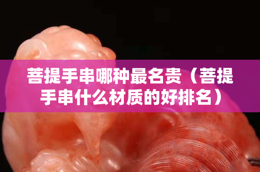 菩提手串哪种最名贵（菩提手串什么材质的好排名）