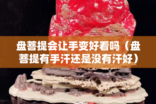 盘菩提会让手变好看吗（盘菩提有手汗还是没有汗好）