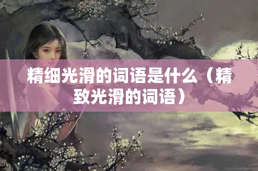 精细光滑的词语是什么（精致光滑的词语）