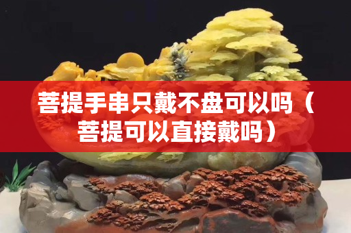 菩提手串只戴不盘可以吗（菩提可以直接戴吗）