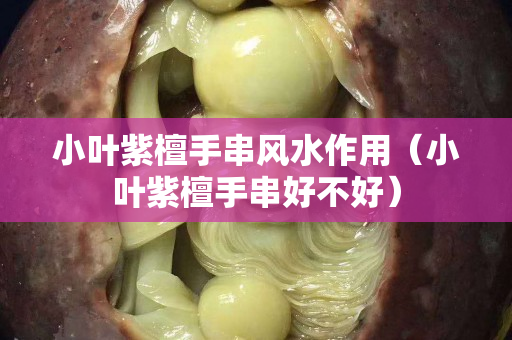 小叶紫檀手串风水作用（小叶紫檀手串好不好）