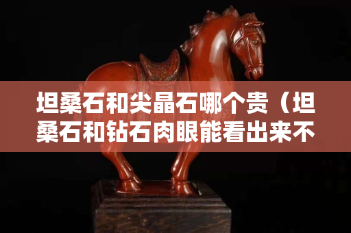 坦桑石和尖晶石哪个贵（坦桑石和钻石肉眼能看出来不）